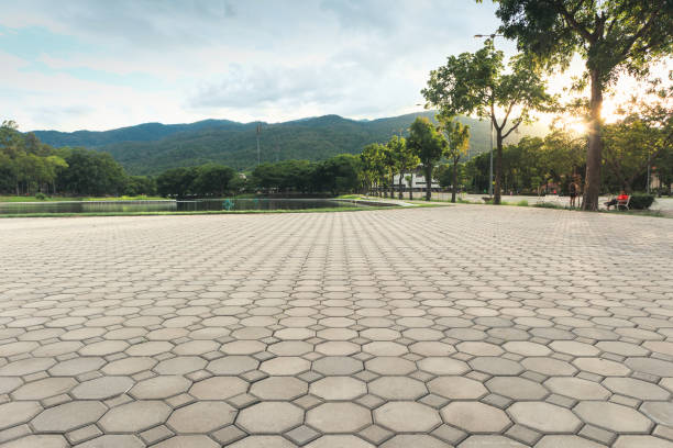 Best Professional Driveway Pavers  in Red Lodge, MT
